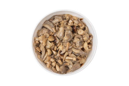 Fried mushrooms in a plate on a white background. Honey mushrooms and oyster mushrooms fried in oil close-up.の写真素材