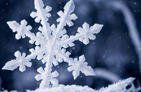 Snowflake on snow. Christmas and winter background.の写真素材