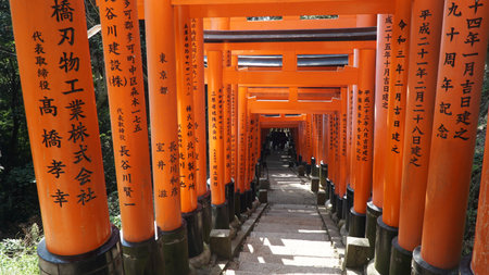 Fushimi Inari Taisha Shrine in Kyoto, Japan.の写真素材