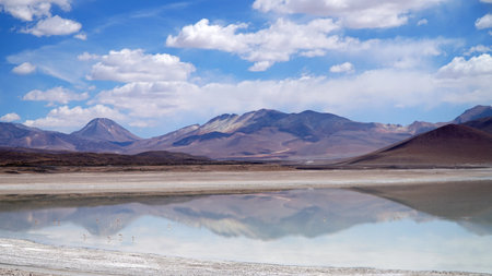 The Lagunas Route Between Bolivia and Chile. Laguna Blanca in Bolivia.の写真素材