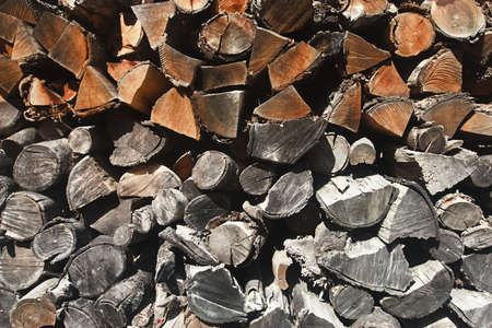 Wood pile
