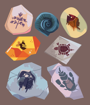 set of old rock illustration collection containing fossil skeletons of ancient animals and plantsのイラスト素材