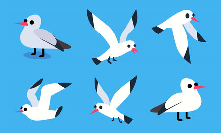 Cartoon Atlantic seabird, seagull flying in blue sky. birds set in flat vector styleのイラスト素材