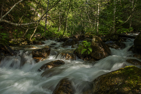 Bulgaria Rila Mountain 24 June 2016 Mountain streamのeditorial素材