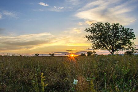 Bulgaria  July 02, 2016 Sunset over the fieldのeditorial素材
