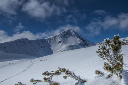 Winter Mountainの写真素材