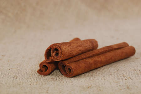 Sticks cinnamon on a laying from a Fabric