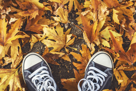 Shoes nature fashionの写真素材