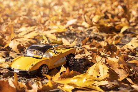 toy car in natureの写真素材