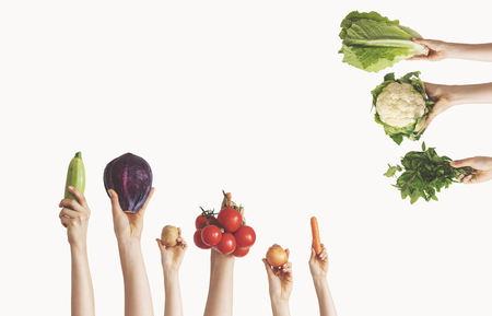 Hands holding different vegetables on isolated backgroundの写真素材