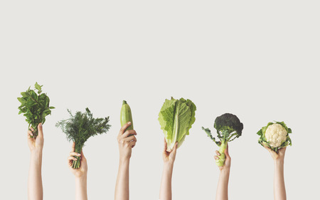 Hands holding different green vegetables on isolated backgroundの写真素材