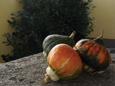Three halloween pumkin infront the house as holidays decorationの写真素材