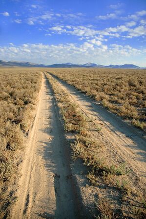 Desert Roadの写真素材
