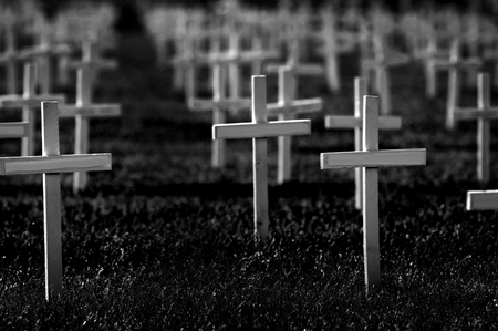 Rows of crosses honoring soldiers killed at war