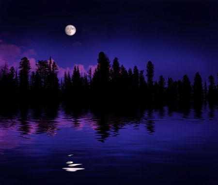 Moonrise over pine trees in the mountainsの写真素材