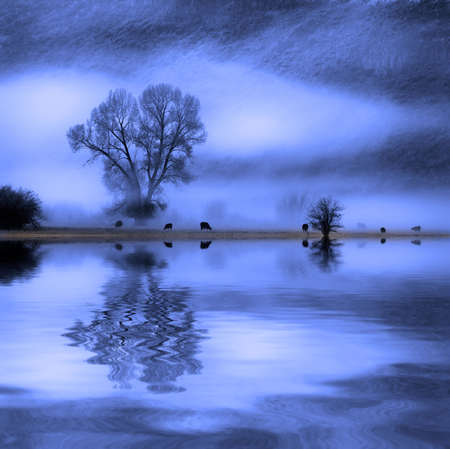 Fog with trees and bushes and mountains in backgroundの写真素材