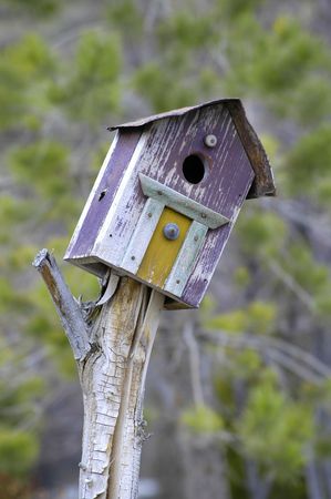 Old purple wooden bird house in garden 