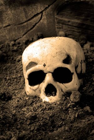 Human skull lying on top of dirtの写真素材