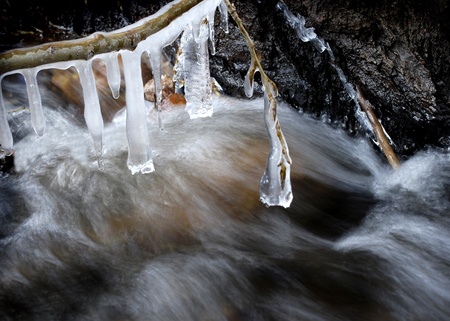 Stream in winter with icicles hanging from tree branchesの写真素材