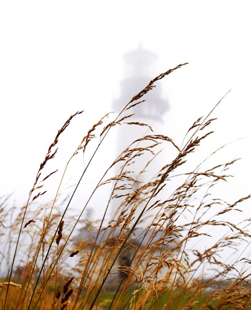 Lighthouse in fog with grass in frontの写真素材