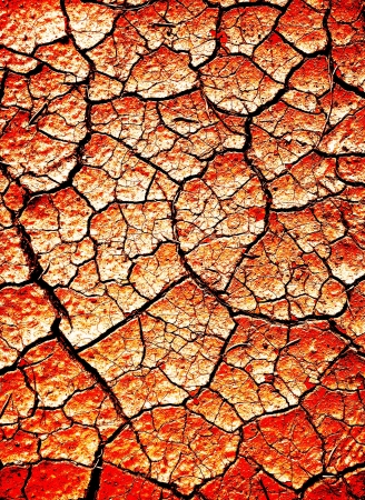 Desert dirt that is dry and crackedの写真素材