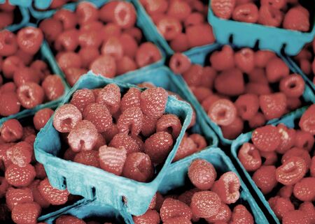 Fresh berries in bins on display for sale at the marketの写真素材