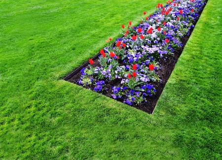 Large garden with variety of freshly grown flowers and greeneryの写真素材
