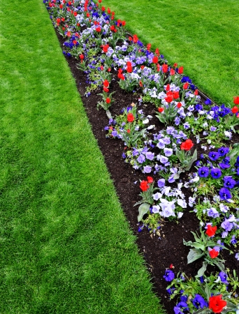 Large garden with variety of freshly grown flowers and greeneryの写真素材