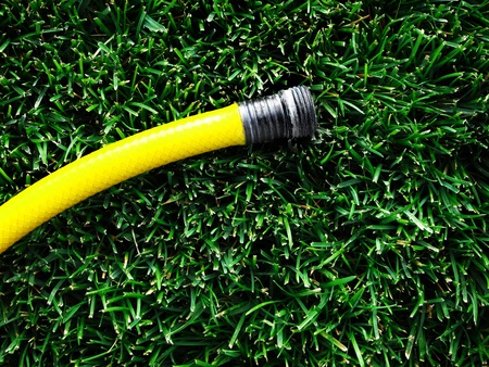 Yellow hose with water spraying on green grassの写真素材