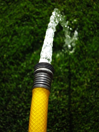 Yellow hose with water spraying on green grassの写真素材