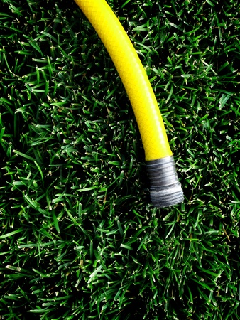 Yellow hose with water spraying on green grassの写真素材