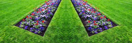 Large garden with variety of freshly grown flowers and greeneryの写真素材