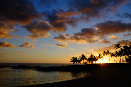 Tropical palm trees silhouette silhouetted by sunset of sunriseの写真素材