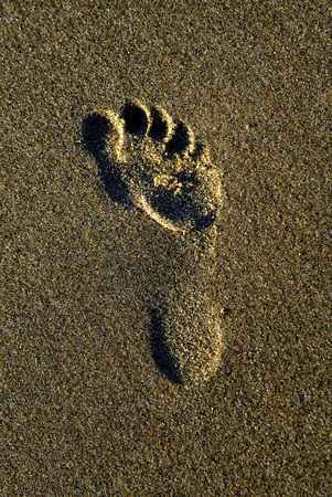 Footprint in the sand at beach near oceanの写真素材