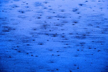 Raindrops in lake or pond water ripples reflections