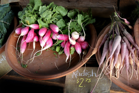 Fresh freshly grown radish radishes farm produce being sold at market sale sign