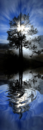 Steam and tree with sunlight rays sunshine sun blue sky reflecting in waterの写真素材