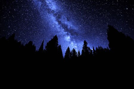 Milky Way in night sky with forest silhouette by stars