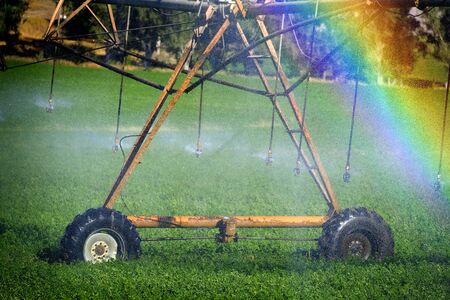 Sprinkers irrigating crops green lush field farming grains water spraying rainbow from mist mistyの写真素材