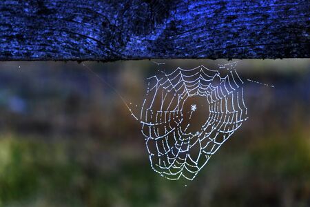 Spider web with drops of dew hanging from wood railing against a dark backgroundの写真素材