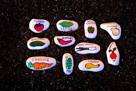 Stones with Painting of Vegtables in Rich Fertile Dirt for Gardeningの写真素材