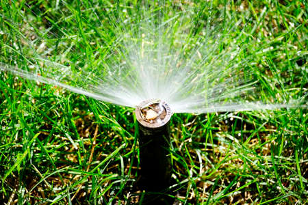 Sprinkler spraying fresh wet water on lush green yard lawn grassの写真素材