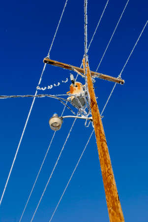 Frozen power lines frost against blue sky with ice crystals in the air during winter cold freezingの写真素材