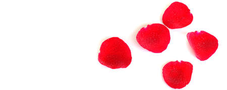 Rose petals as gift soft on white backgroundの写真素材
