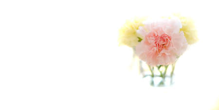 Closeup of fresh spring flowers carnations in cup on old wooden table top decorationの写真素材