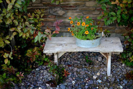 Wooden bench with flower arrangement garden plantsの写真素材