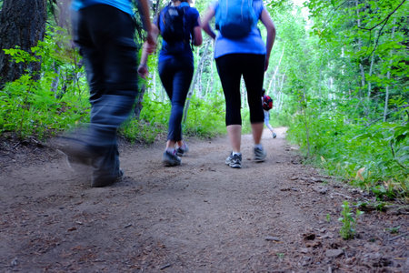 Group of girls in a family hiking on trail in forest exploringの写真素材