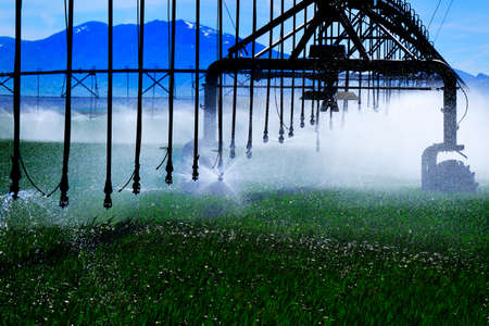 Farming sprinkler irrigation water system in lush green field growing cropsの写真素材