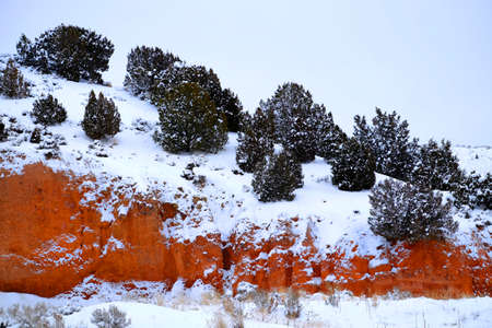 Ridgeline cliff of red sandstone and cedar trees in fresh winter snowの写真素材