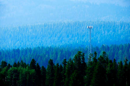 Radio cell tower high in pine forest wilderness communications system